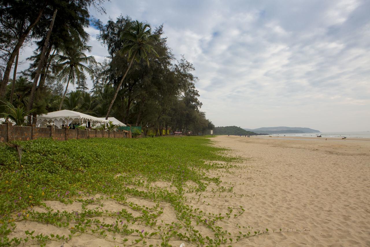 Talpona Paradise Beach House Canacona Exteriör bild