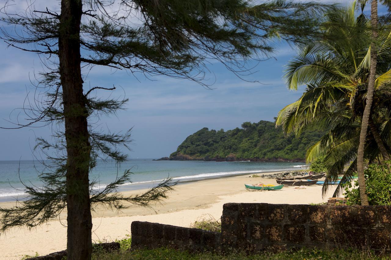 Talpona Paradise Beach House Canacona Exteriör bild